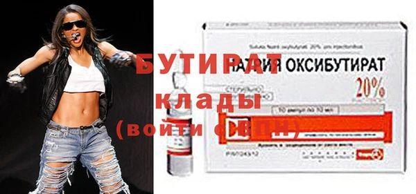индика Бородино