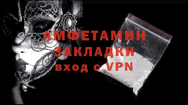 индика Бородино