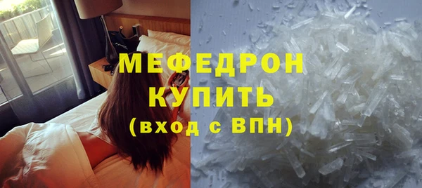 индика Бородино