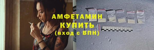 индика Бородино