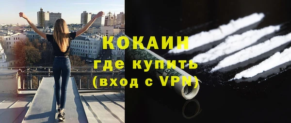 индика Бородино