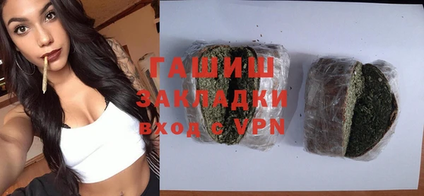 индика Бородино