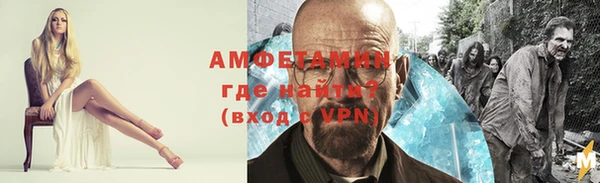 индика Бородино