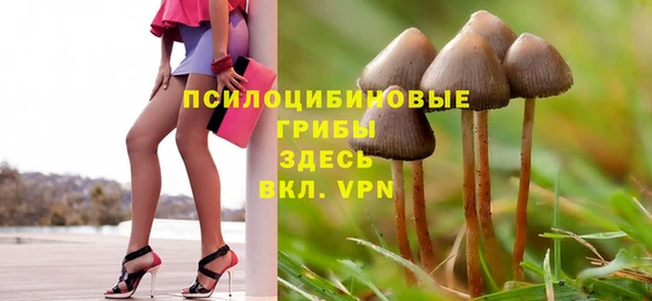 молекула духа Бугульма