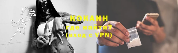 индика Бородино