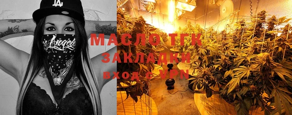 индика Бородино