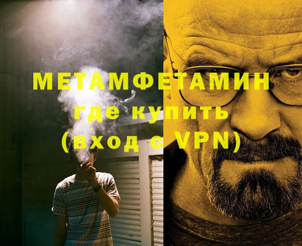 индика Бородино