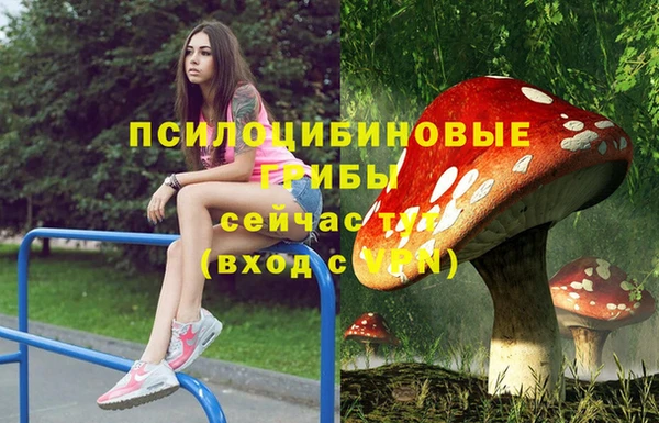 молекула духа Бугульма