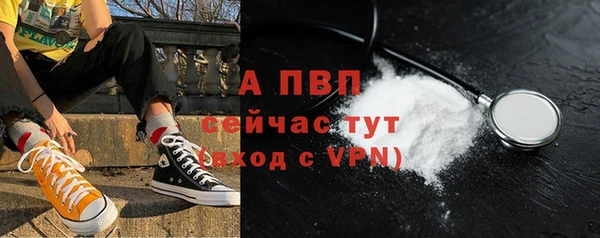 индика Бородино