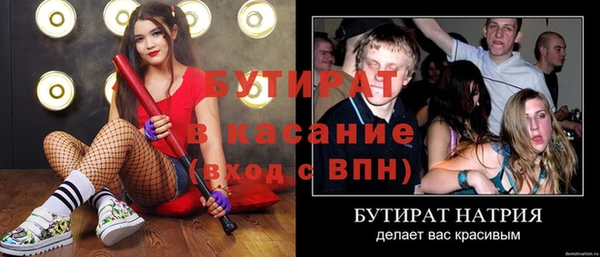 индика Бородино