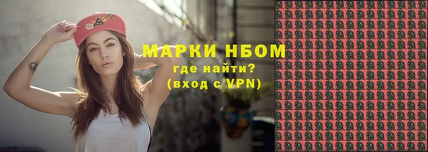 индика Бородино