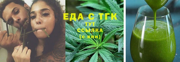 индика Бородино