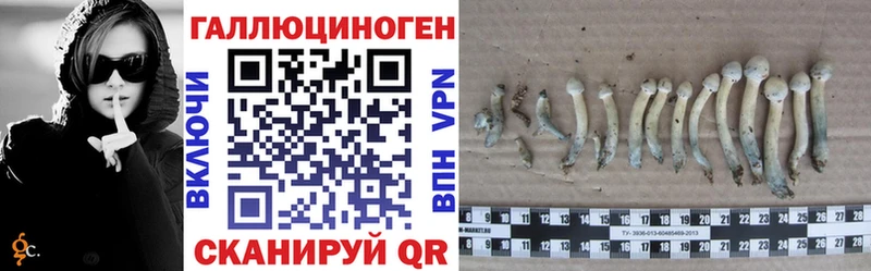 Псилоцибиновые грибы Magic Shrooms  Купить где  Чудово 
